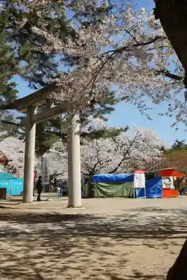 青森縣護國神社の鳥居