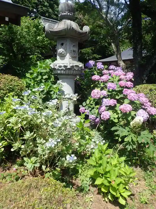 妙楽寺(神奈川県)