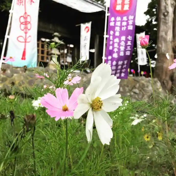 高司神社〜むすびの神の鎮まる社〜の自然