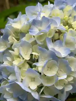 石都々古和気神社(福島県)