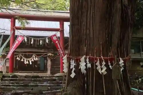 磐椅神社の鳥居