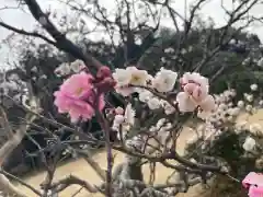 大生郷天満宮(茨城県)