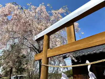 新海三社神社(長野県)