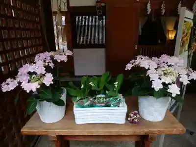 琴似神社(北海道)