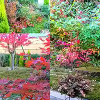 寿量山 速成寺の自然