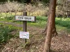 実相寺の建物その他