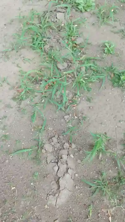 酒門神社(茨城県)