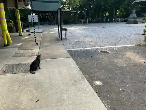 所澤神明社(埼玉県)