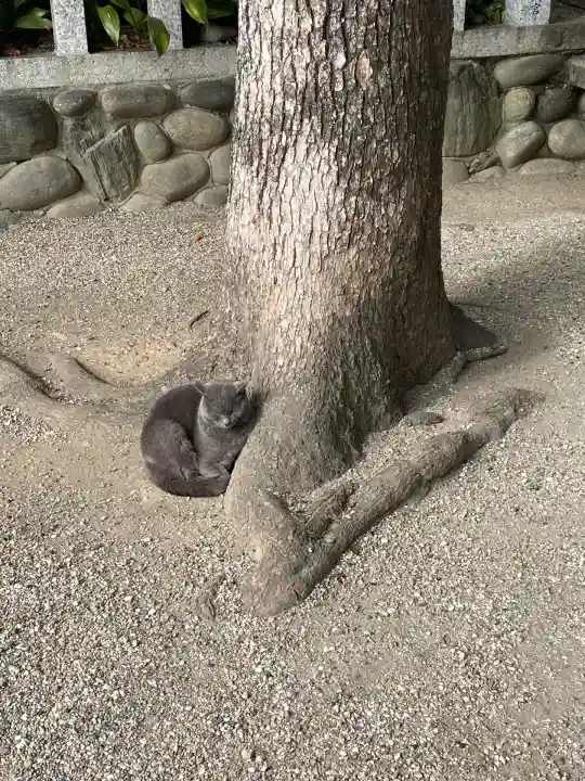 御器所八幡宮(愛知県)