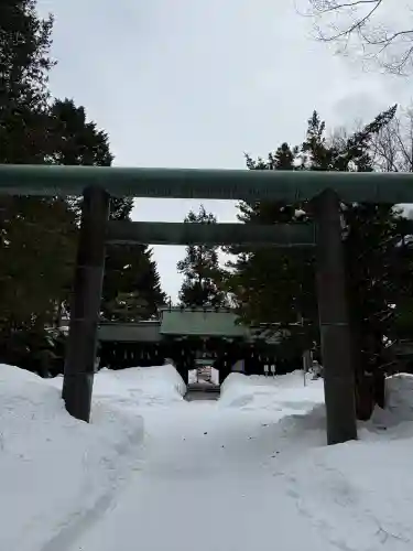 琴似神社の{uncategorized: "未分類", other: "その他", undefined: "問題あり", building: "その他建物", grave: "お墓", sacred_gate: "鳥居", guardian: "狛犬", statue: "像", buddha: "仏像", history: "歴史", nature: "自然", garden: "庭園", animal: "動物", pagoda: "塔", temizu: "手水舎", mountain_gate: "山門・神門", sanctuary: "本殿・本堂", subordinate: "末社・摂社", art: "芸術", scenery: "景色", jizo: "地蔵", ema: "絵馬", goshuin: "御朱印", omikuji: "おみくじ", items: "授与品その他", amulet: "お守り", goshuincho: "御朱印帳", eats: "食事", festival: "お祭り", votive_dance: "神楽", shichigosan: "七五三参", wedding: "結婚式", experience: "体験その他", initially: "初詣", around: "周辺", anti_infection: "感染症対策"}