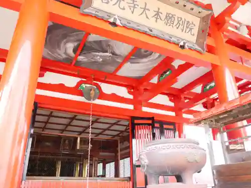 観音寺（善光寺大本願別院）の本殿