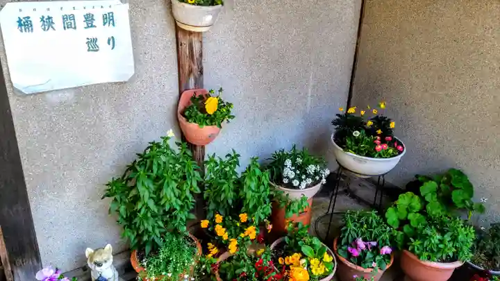 正等山 円福寺の自然