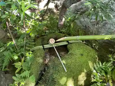 退蔵院のその他建物