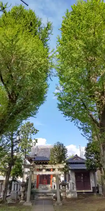 豊敬稲荷神社(ときわ台天祖神社境外末社)(東京都)