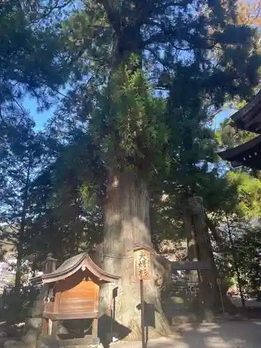 森水無八幡神社(岐阜県)