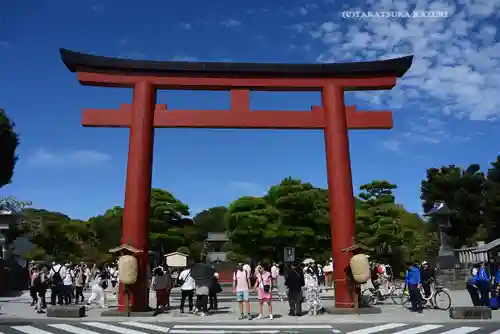 鶴岡八幡宮の鳥居