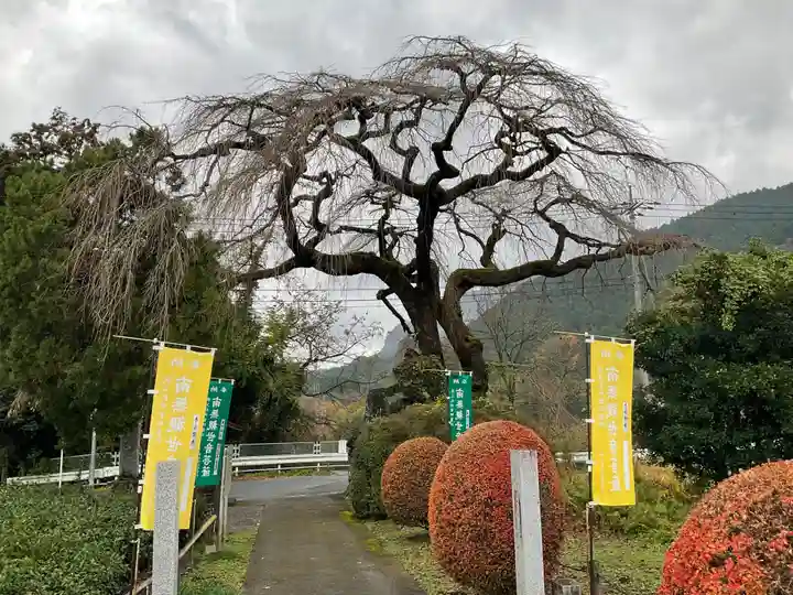 長泉院(埼玉県)