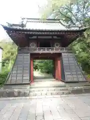 長楽寺(群馬県)