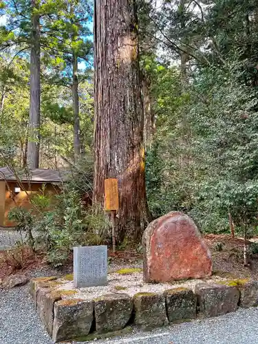 小國神社の自然