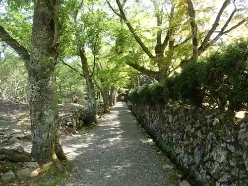 若狭神宮寺の建物その他