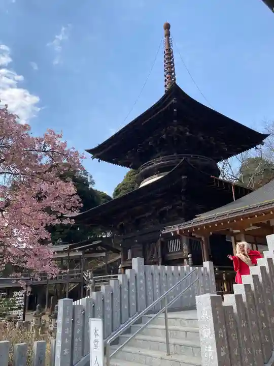 楽法寺(雨引観音)(茨城県)