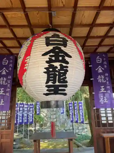 白金龍王社(愛知県)