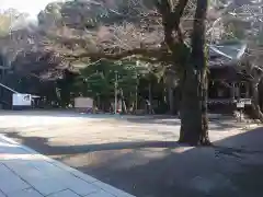 宇都宮二荒山神社の建物その他