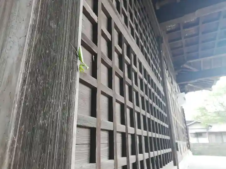 酒門神社の動物