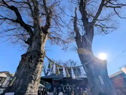 熊野宮(東京都)