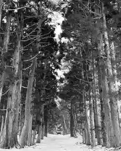 土津神社|こどもと出世の神さまの自然(2023年02月26日(日) 17時43分26秒投稿)