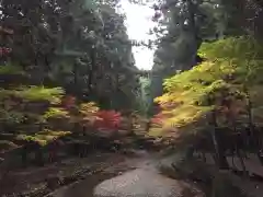 小國神社の周辺