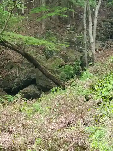 長谷寺(群馬県)