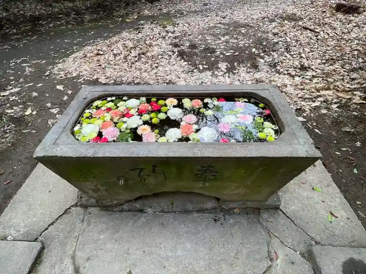 前玉神社(埼玉県)