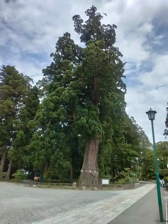 清澄寺(千葉県)