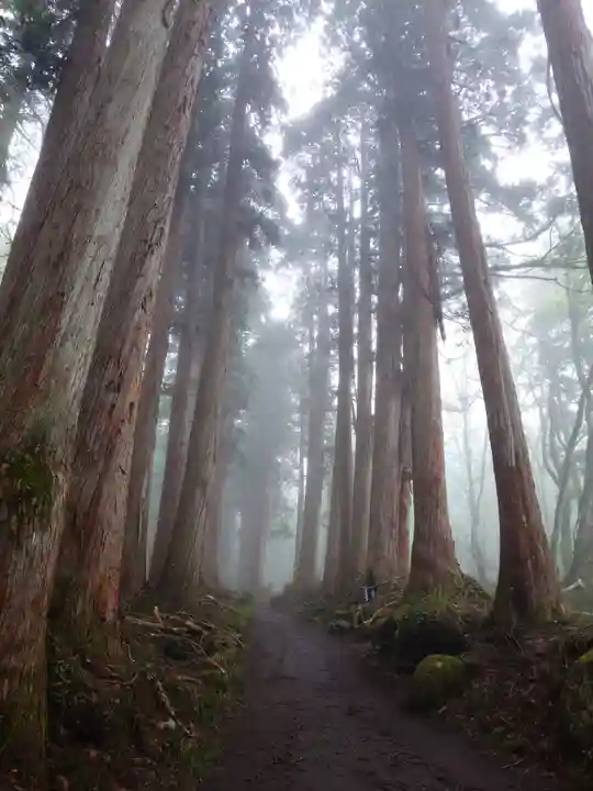 戸隠神社奥社(長野県)