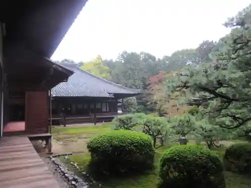 隨心院（随心院）の庭園