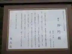 妙養寺の歴史