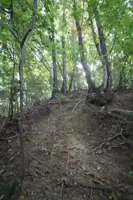 武蔵二宮 金鑚神社(埼玉県)