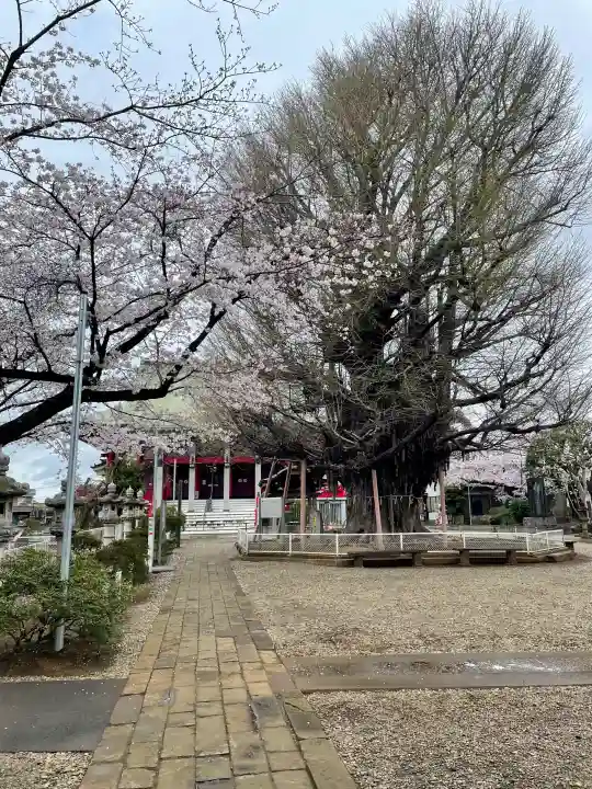 千葉寺の{uncategorized: "未分類", other: "その他", undefined: "問題あり", building: "その他建物", grave: "お墓", sacred_gate: "鳥居", guardian: "狛犬", statue: "像", buddha: "仏像", history: "歴史", nature: "自然", garden: "庭園", animal: "動物", pagoda: "塔", temizu: "手水舎", mountain_gate: "山門・神門", sanctuary: "本殿・本堂", subordinate: "末社・摂社", art: "芸術", scenery: "景色", jizo: "地蔵", ema: "絵馬", goshuin: "御朱印", omikuji: "おみくじ", items: "授与品その他", amulet: "お守り", goshuincho: "御朱印帳", eats: "食事", festival: "お祭り", votive_dance: "神楽", shichigosan: "七五三参", wedding: "結婚式", experience: "体験その他", initially: "初詣", around: "周辺", anti_infection: "感染症対策"}
