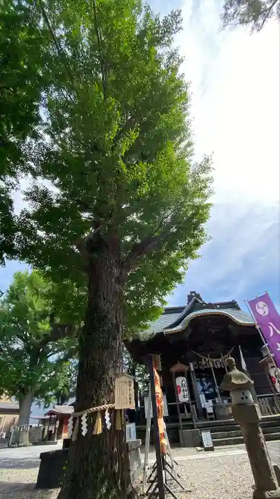 取手八坂神社(茨城県)