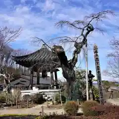 陽林寺(福島県)