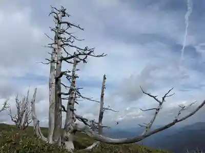 劔山本宮宝蔵石神社(徳島県)
