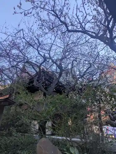 牛天神北野神社(東京都)