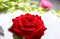 三津厳島神社の手水舎