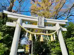 星川杉山神社の鳥居