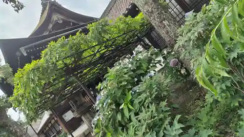 六孫王神社(京都府)