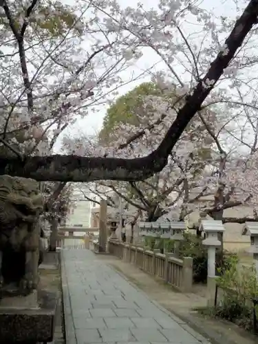 三光神社の建物その他