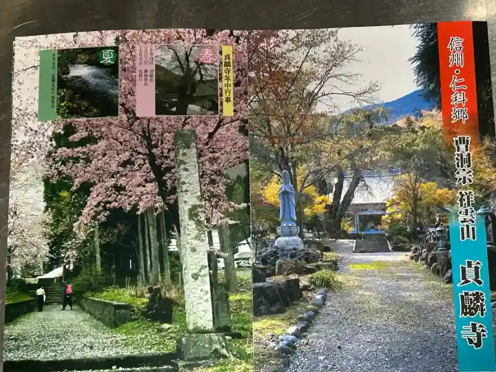 貞麟寺の{uncategorized: "未分類", other: "その他", undefined: "問題あり", building: "その他建物", grave: "お墓", sacred_gate: "鳥居", guardian: "狛犬", statue: "像", buddha: "仏像", history: "歴史", nature: "自然", garden: "庭園", animal: "動物", pagoda: "塔", temizu: "手水舎", mountain_gate: "山門・神門", sanctuary: "本殿・本堂", subordinate: "末社・摂社", art: "芸術", scenery: "景色", jizo: "地蔵", ema: "絵馬", goshuin: "御朱印", omikuji: "おみくじ", items: "授与品その他", amulet: "お守り", goshuincho: "御朱印帳", eats: "食事", festival: "お祭り", votive_dance: "神楽", shichigosan: "七五三参", wedding: "結婚式", experience: "体験その他", initially: "初詣", around: "周辺", anti_infection: "感染症対策"}