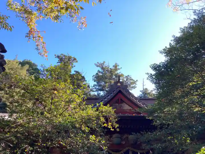 一ノ矢八坂神社(茨城県)
