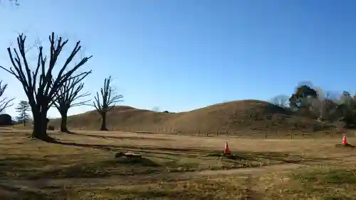 前玉神社の{uncategorized: "未分類", other: "その他", undefined: "問題あり", building: "その他建物", grave: "お墓", sacred_gate: "鳥居", guardian: "狛犬", statue: "像", buddha: "仏像", history: "歴史", nature: "自然", garden: "庭園", animal: "動物", pagoda: "塔", temizu: "手水舎", mountain_gate: "山門・神門", sanctuary: "本殿・本堂", subordinate: "末社・摂社", art: "芸術", scenery: "景色", jizo: "地蔵", ema: "絵馬", goshuin: "御朱印", omikuji: "おみくじ", items: "授与品その他", amulet: "お守り", goshuincho: "御朱印帳", eats: "食事", festival: "お祭り", votive_dance: "神楽", shichigosan: "七五三参", wedding: "結婚式", experience: "体験その他", initially: "初詣", around: "周辺", anti_infection: "感染症対策"}